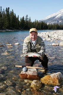 An Athabasca River winter bull trout